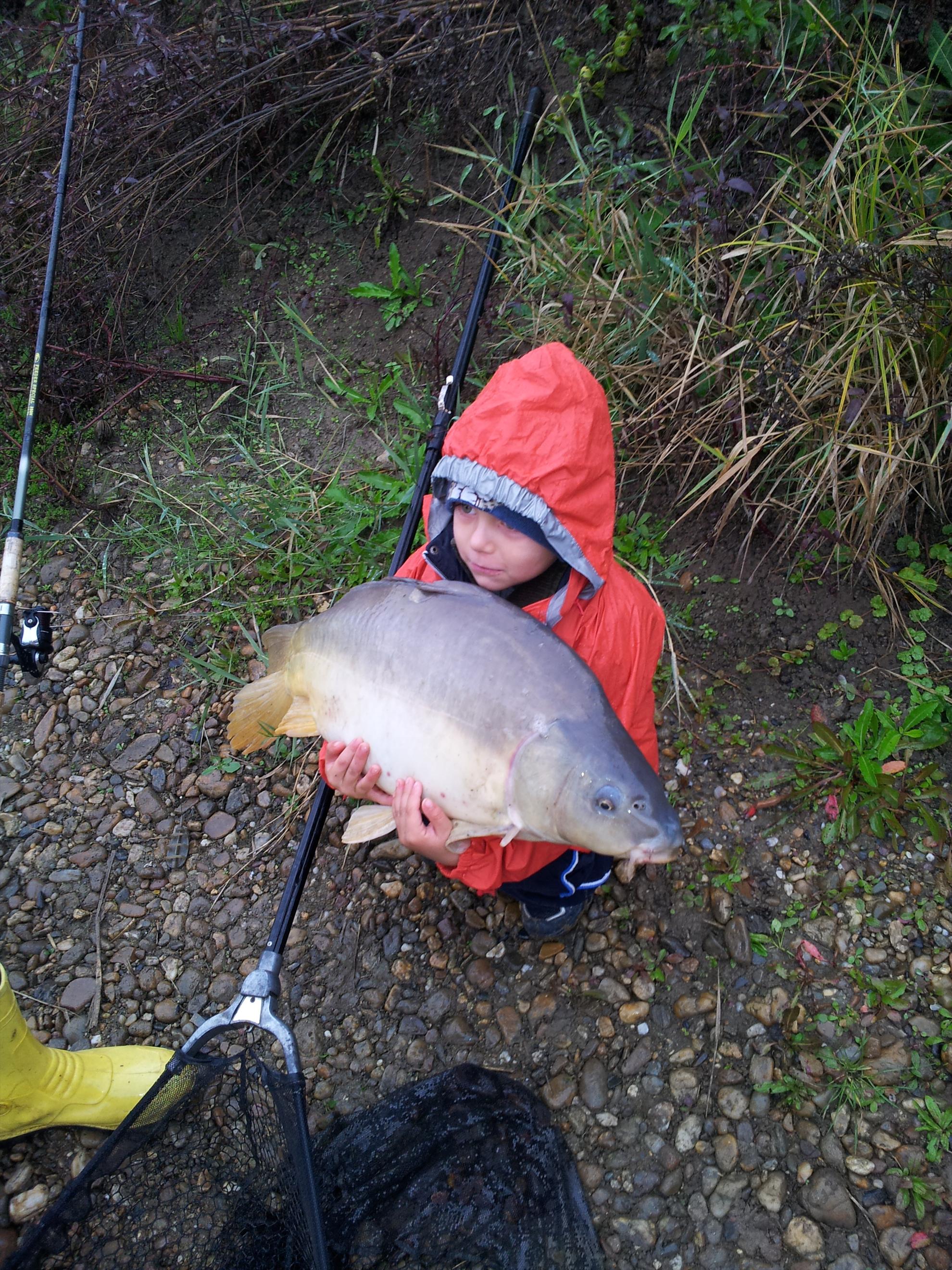 tot felu - 20121014092203.jpg